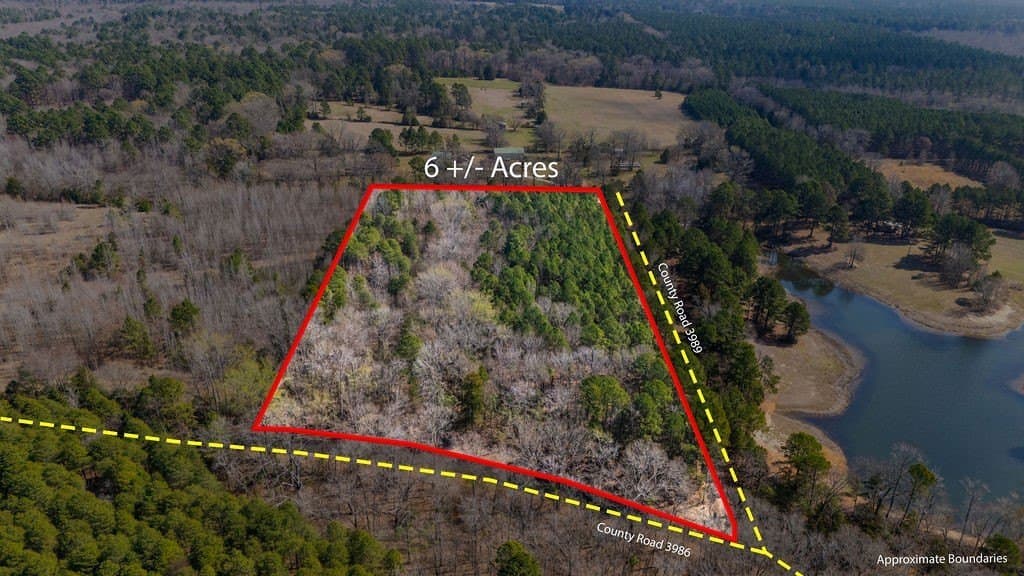 23.68 acres in Wood County - photo 5