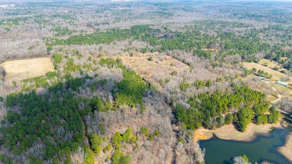 23.68 acres in Wood County - photo 9