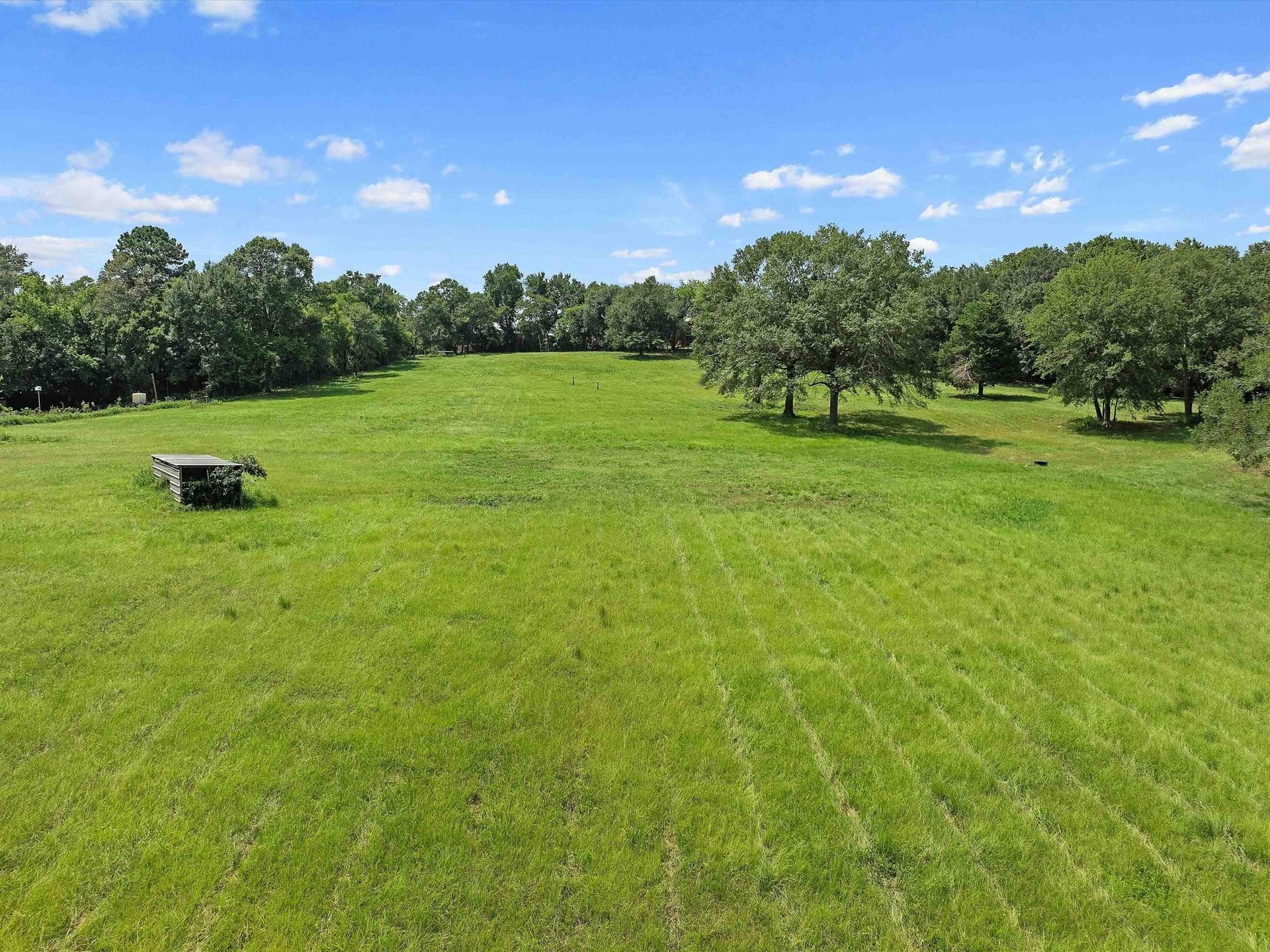 29.52 acres in Rusk County gallery image 3