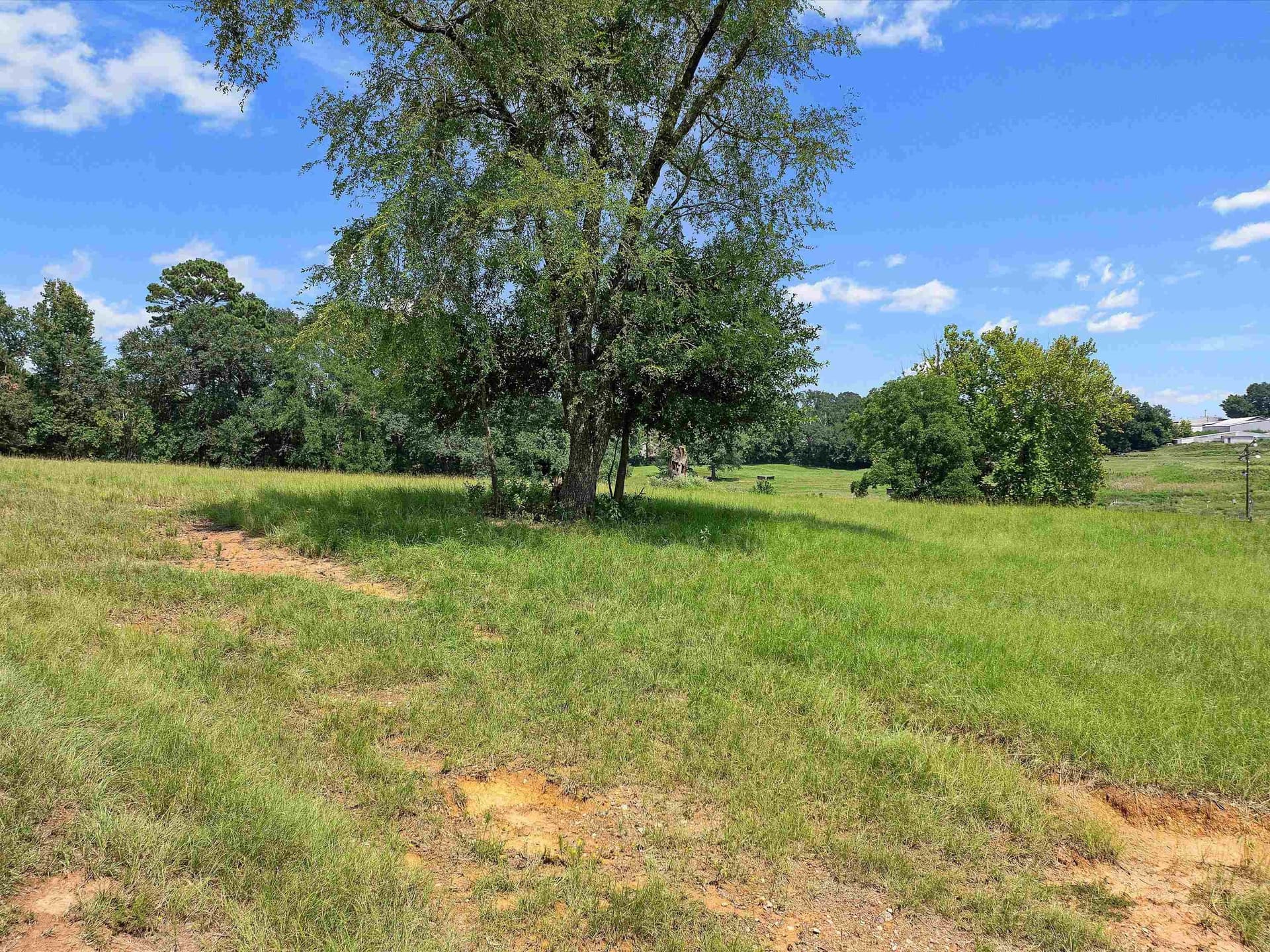 29.52 acres in Rusk County featured view