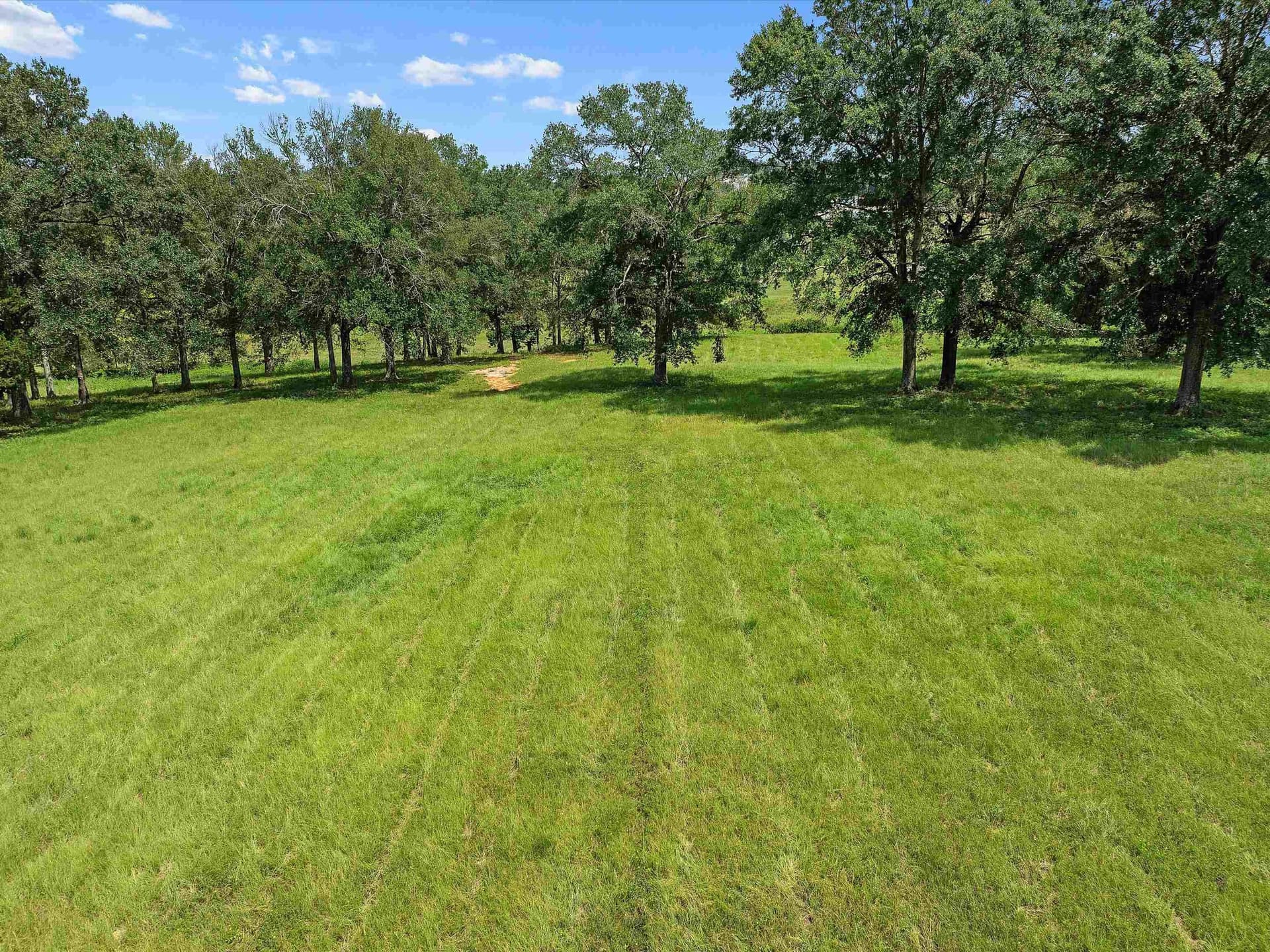 29.52 acres in Rusk County gallery image 2