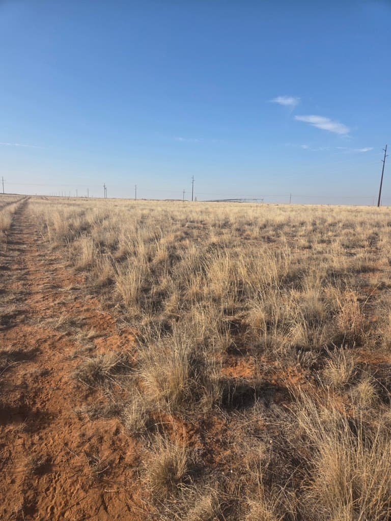 10.27 acres in Yoakum County - photo 2