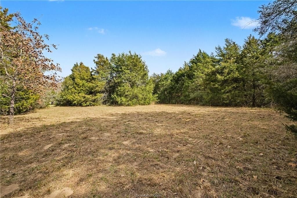 7.9 acres in Robertson County gallery image 4