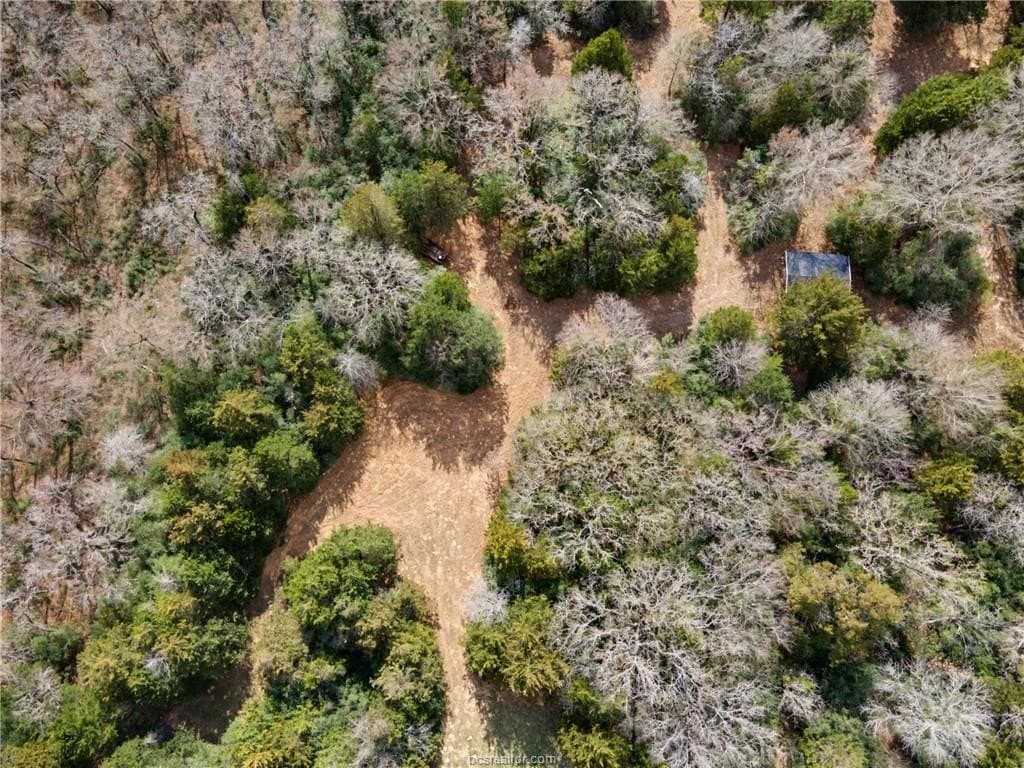 7.9 acres in Robertson County - photo 9