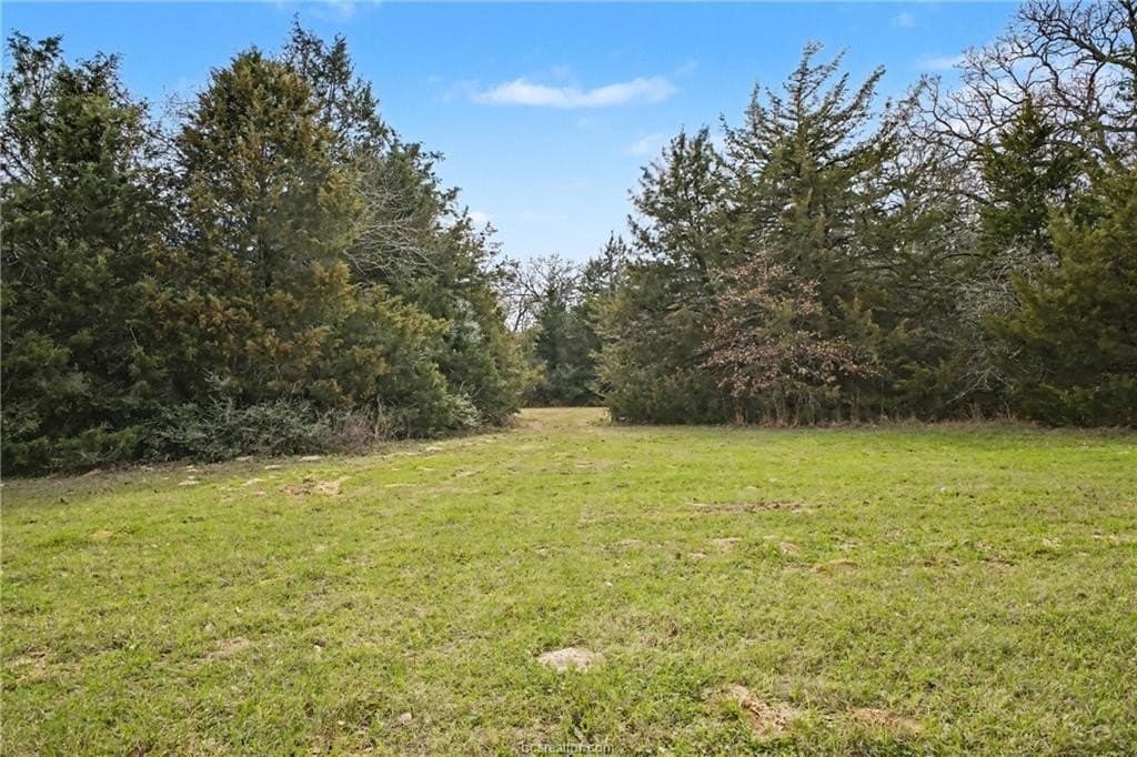 7.9 acres in Robertson County gallery image 3