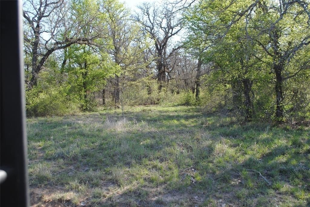 227.77 acres in Comanche County gallery image 3