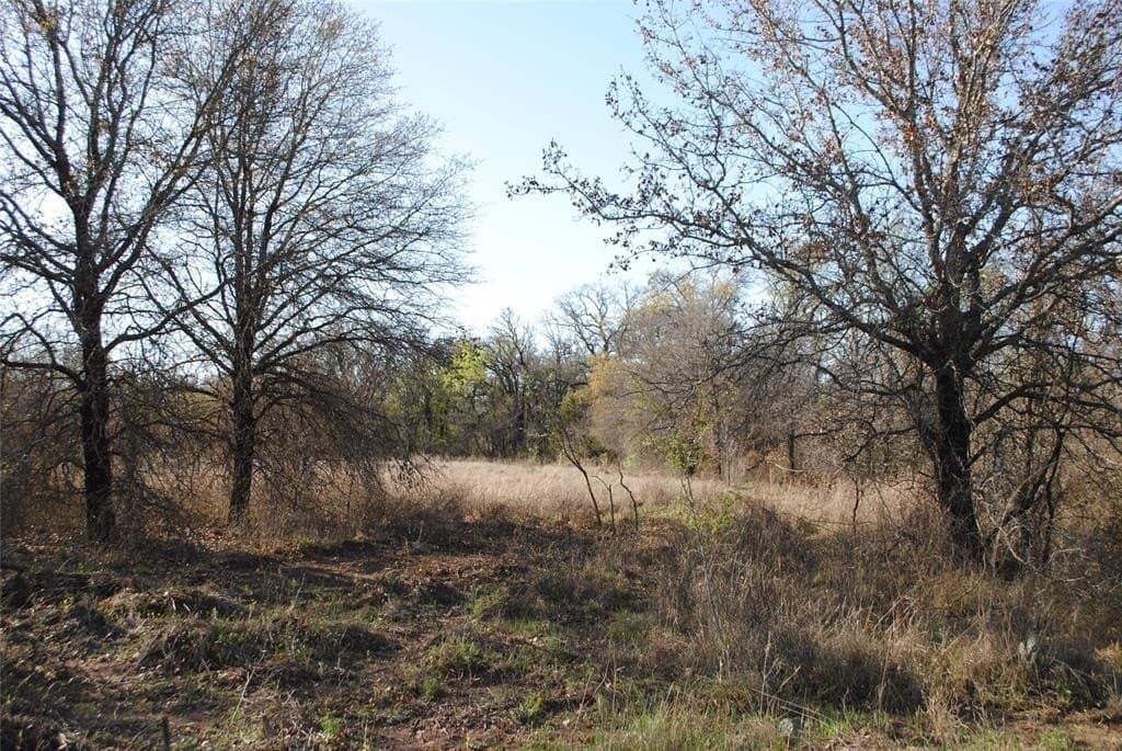 227.77 acres in Comanche County gallery image 2