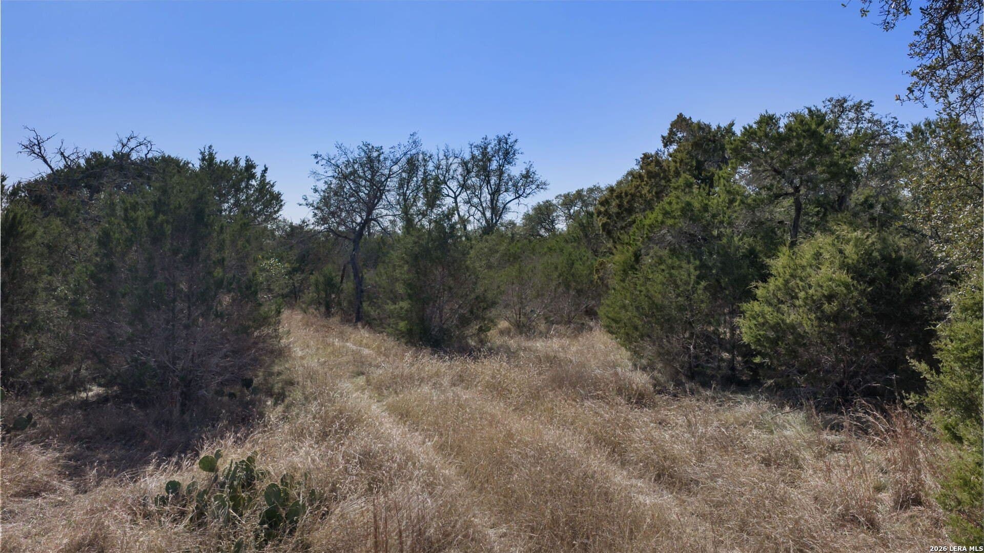 76.13 acres in Burnet County - photo 17