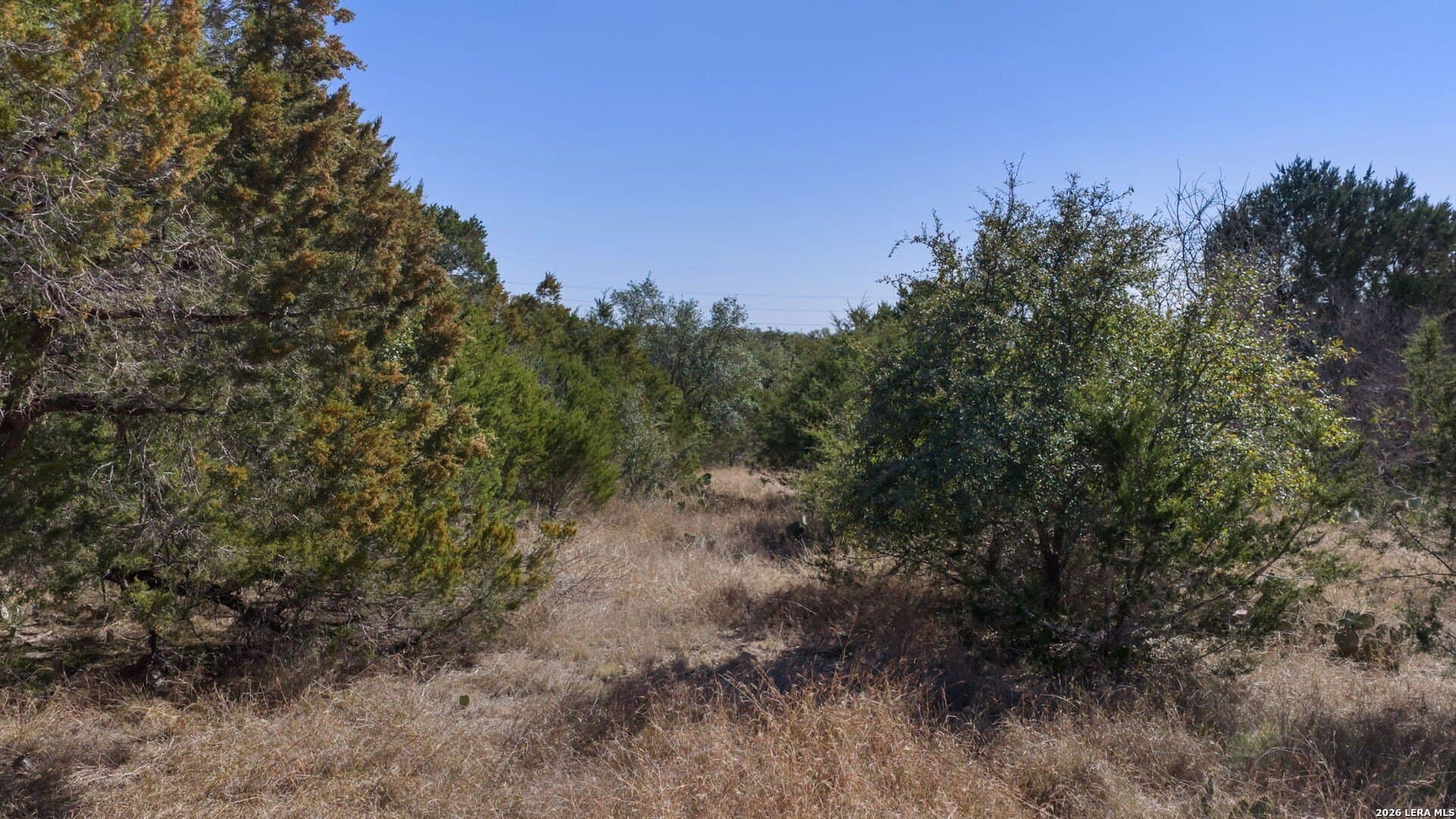 76.13 acres in Burnet County - photo 20