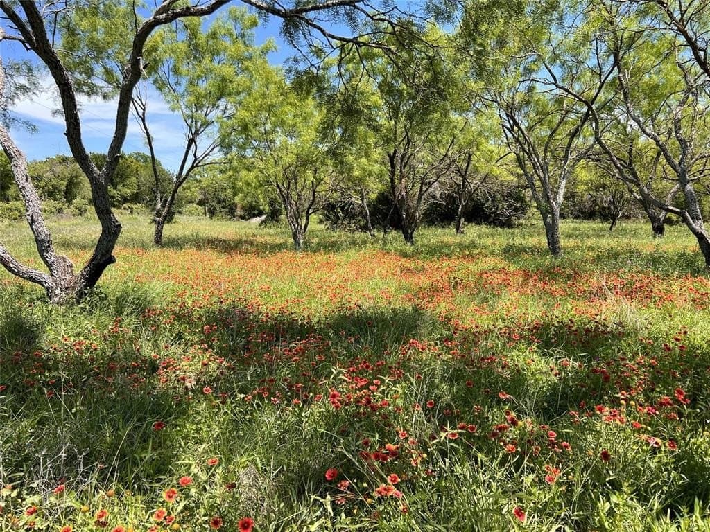 10.01 acres in Brown County featured view