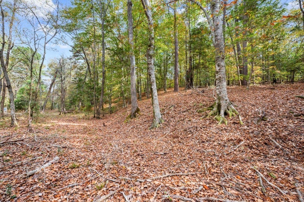 72.8 acres in Texas County - photo 48