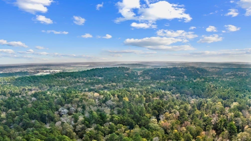 72.8 acres in Texas County - photo 57