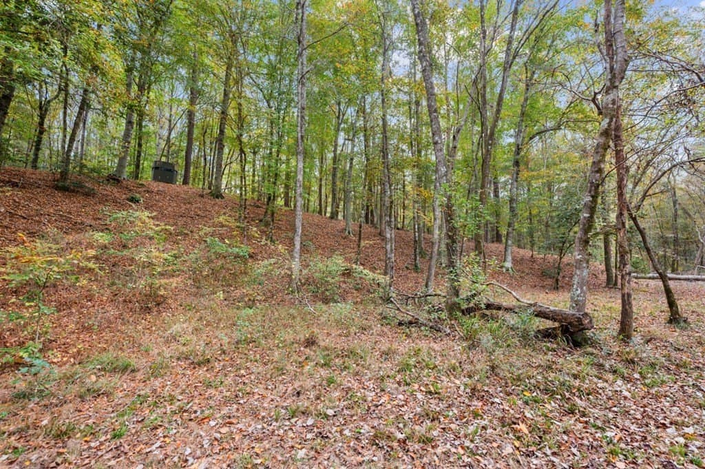 72.8 acres in Texas County - photo 47