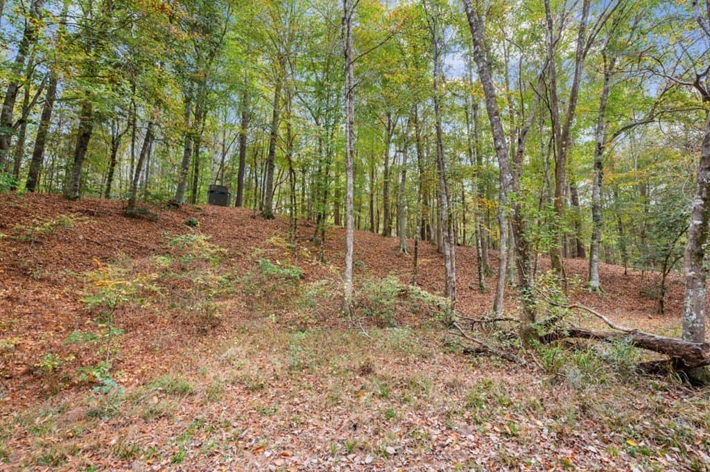 72.8 acres in Texas County - photo 46