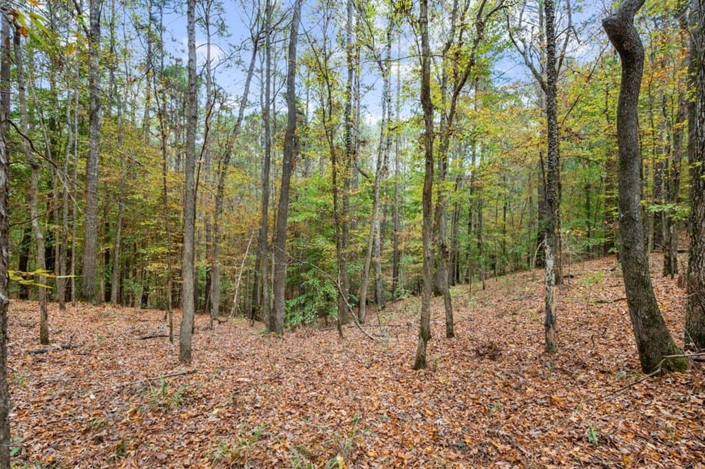 72.8 acres in Texas County - photo 40