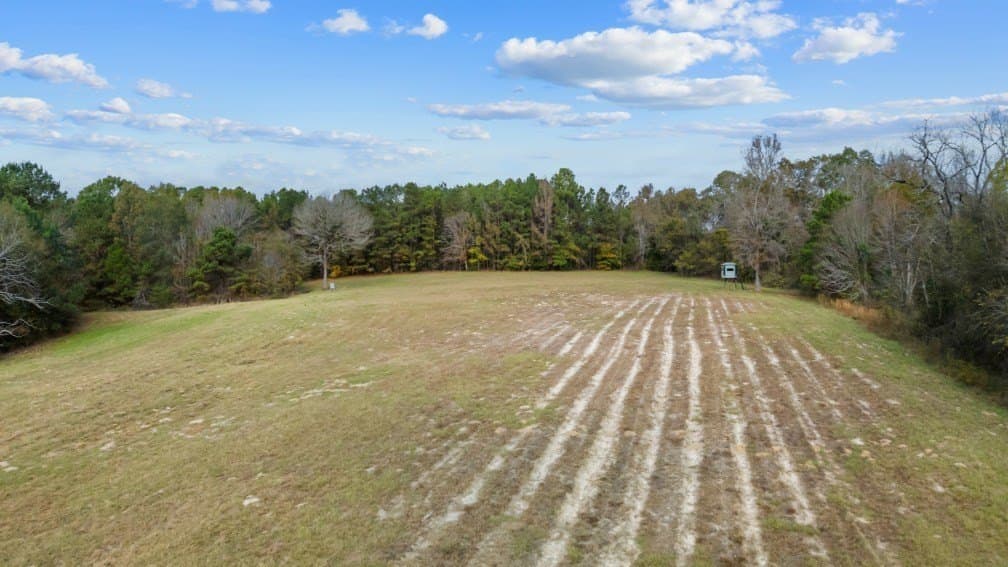 72.8 acres in Texas County - photo 41