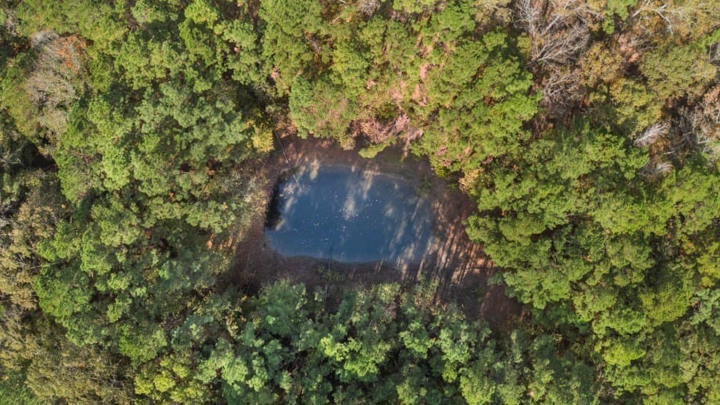 72.8 acres in Texas County - photo 56