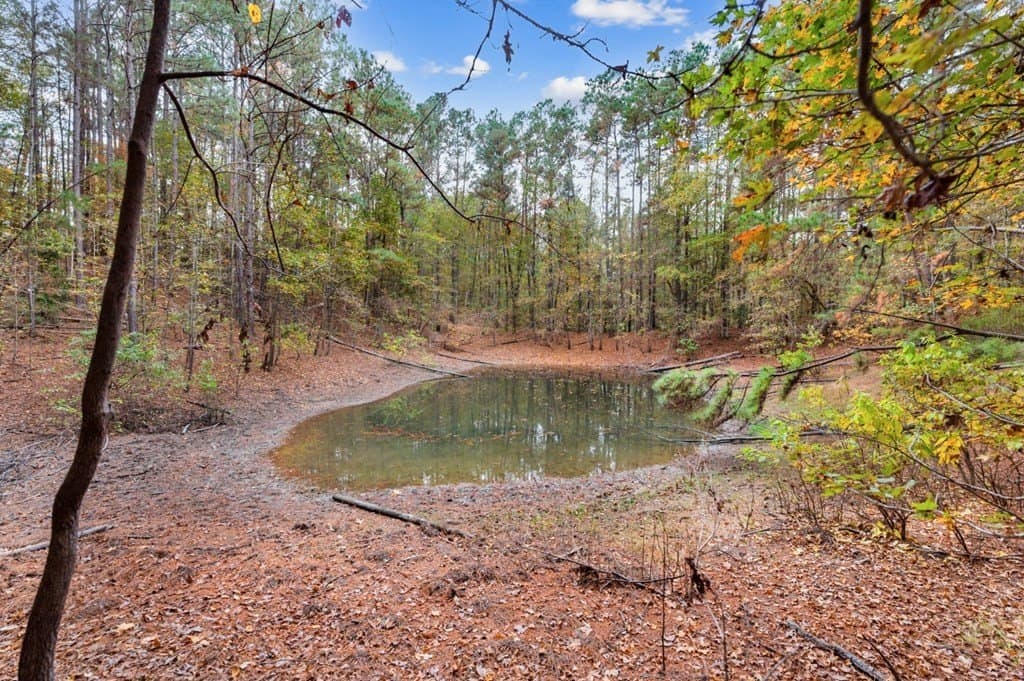 72.8 acres in Texas County - photo 51