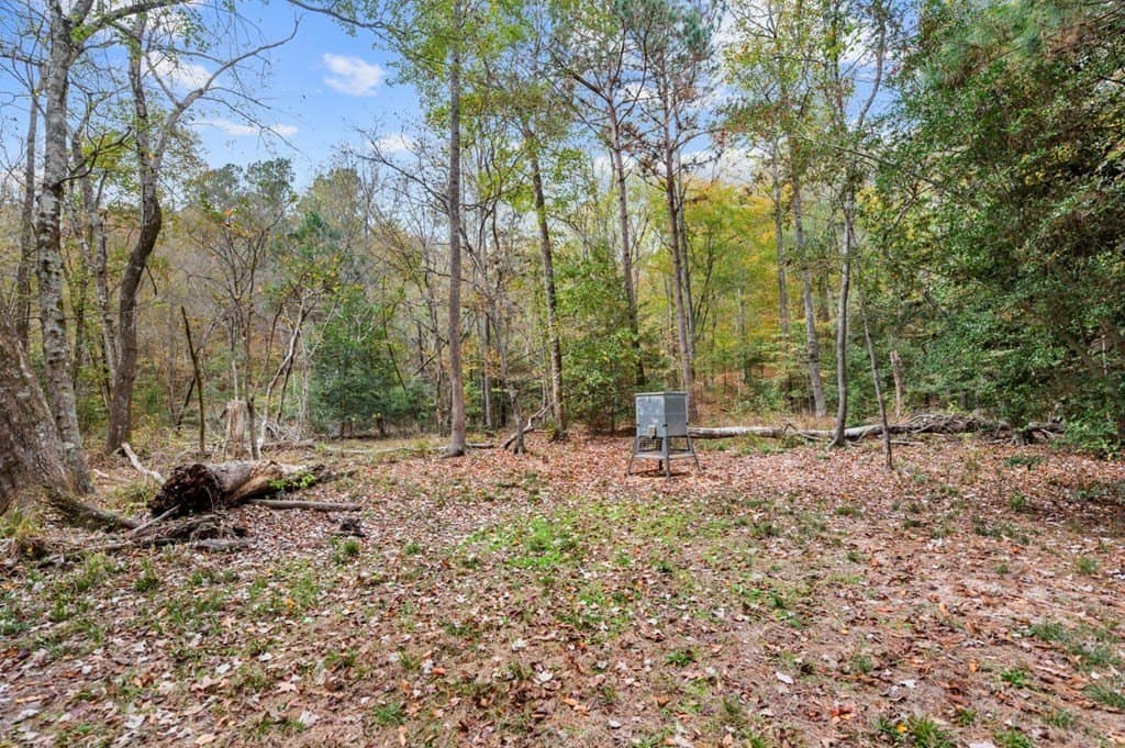 72.8 acres in Texas County - photo 45