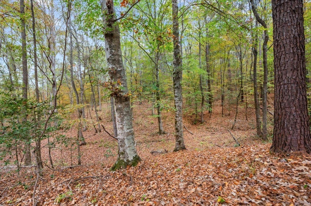 72.8 acres in Texas County - photo 44