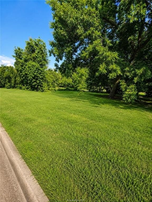 0.07 acres in Brazos County - photo 7