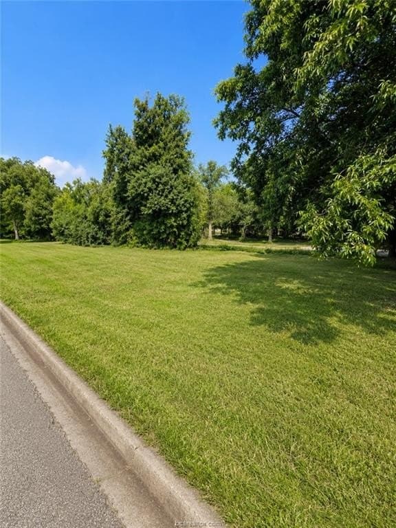0.07 acres in Brazos County - photo 9