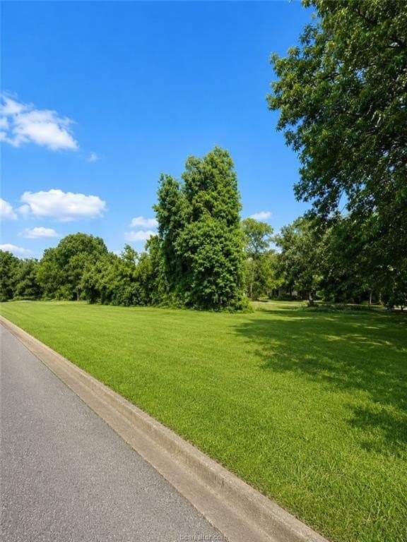 0.07 acres in Brazos County - photo 2