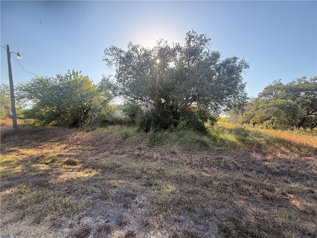 5 acres in San Patricio County - photo 6