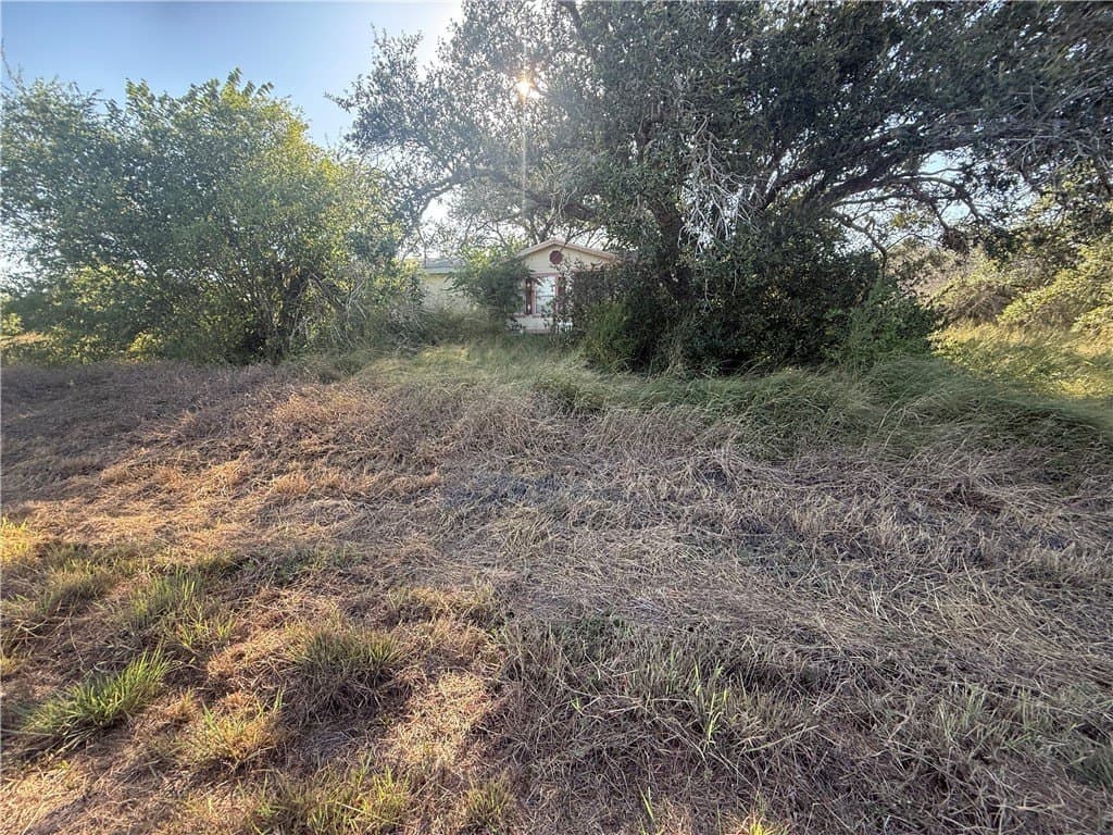 5 acres in San Patricio County - photo 8