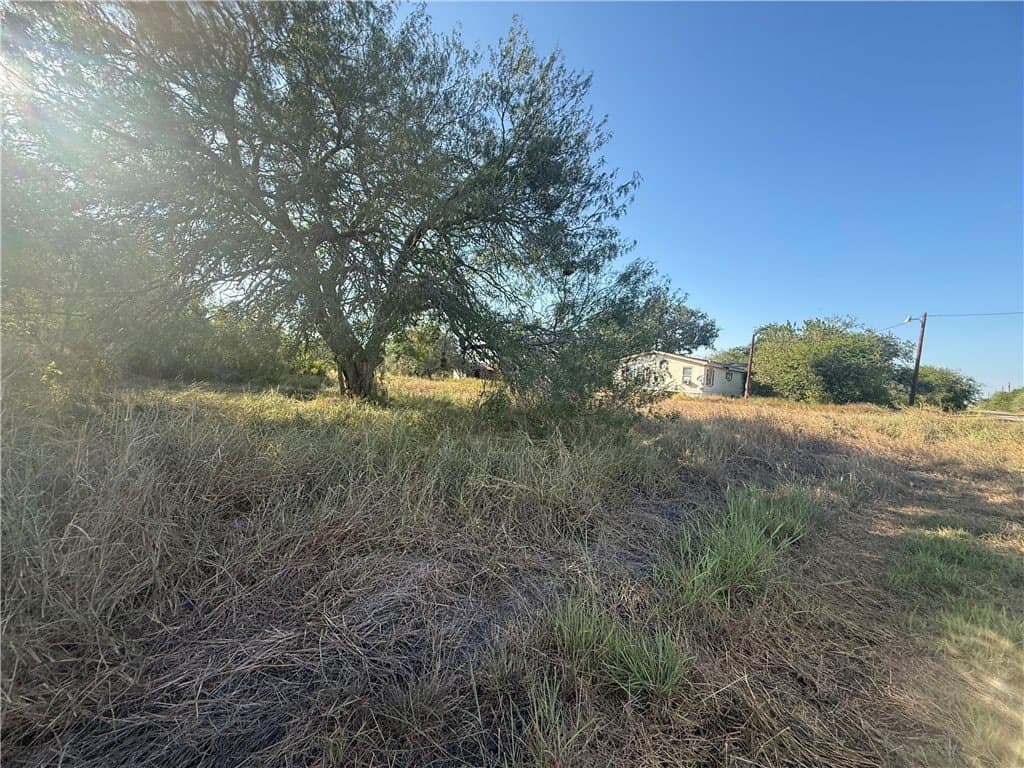 5 acres in San Patricio County - photo 5