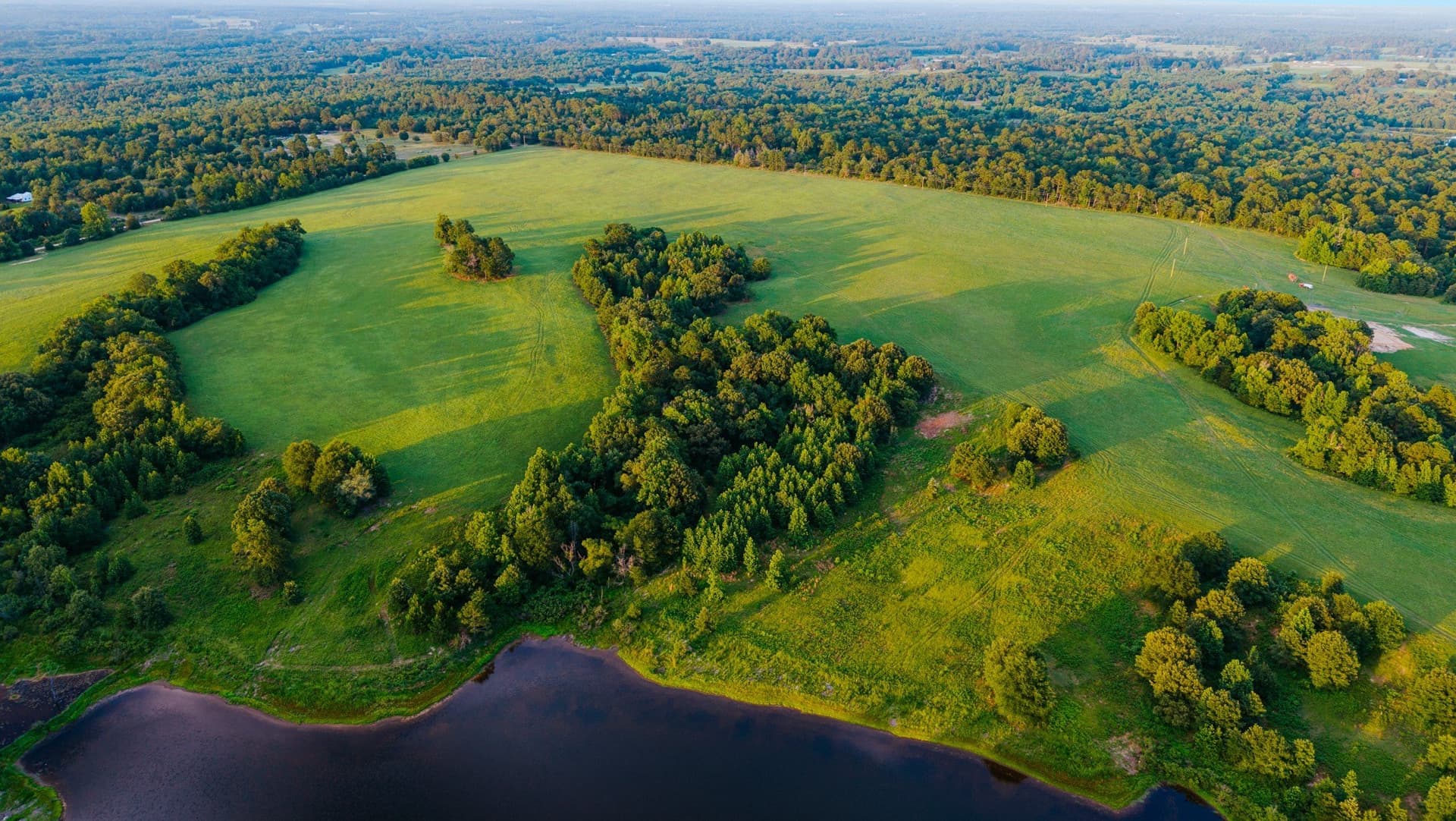 13.71 acres in Wood County - photo 19