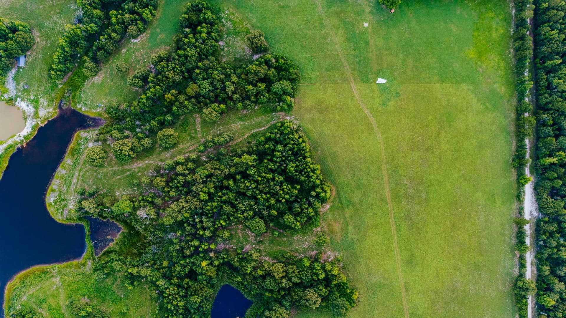 13.71 acres in Wood County - photo 26