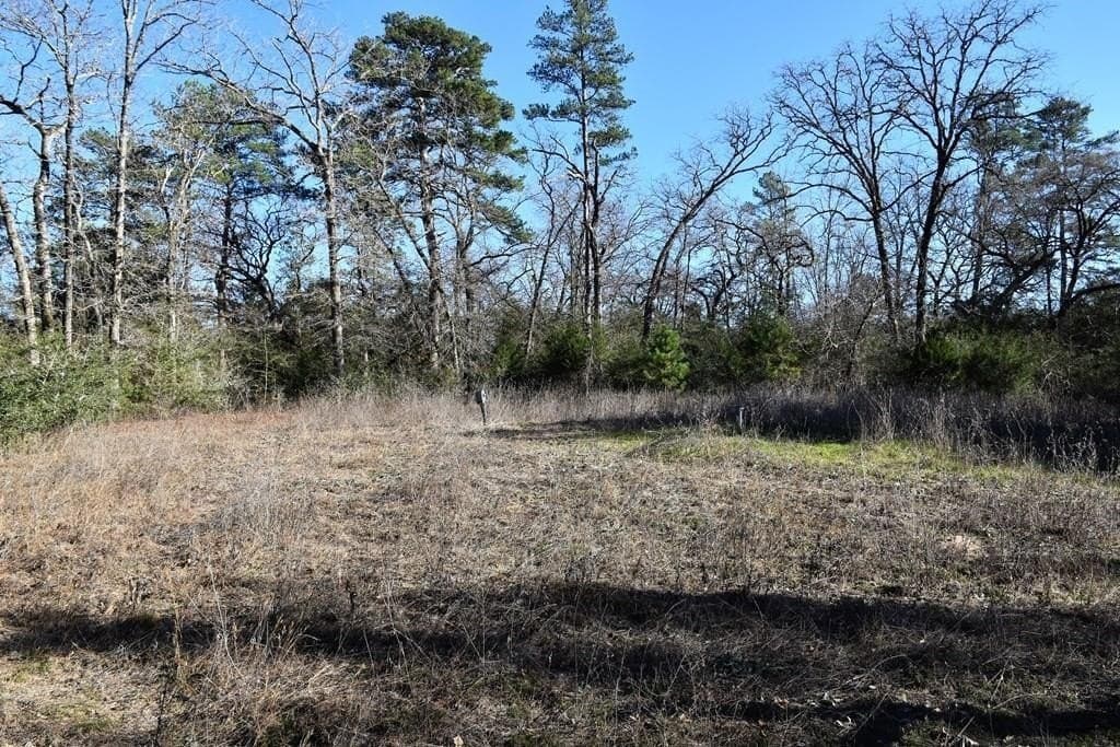 2.12 acres in Houston County gallery image 2