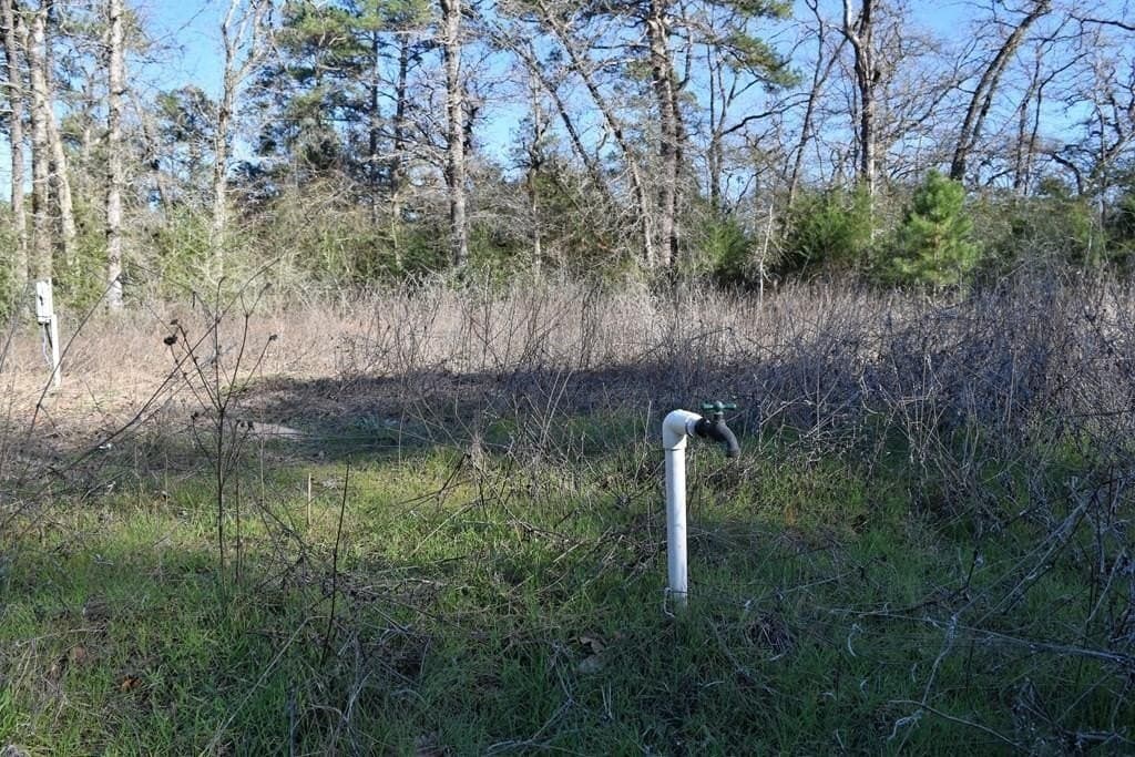 2.12 acres in Houston County gallery image 4