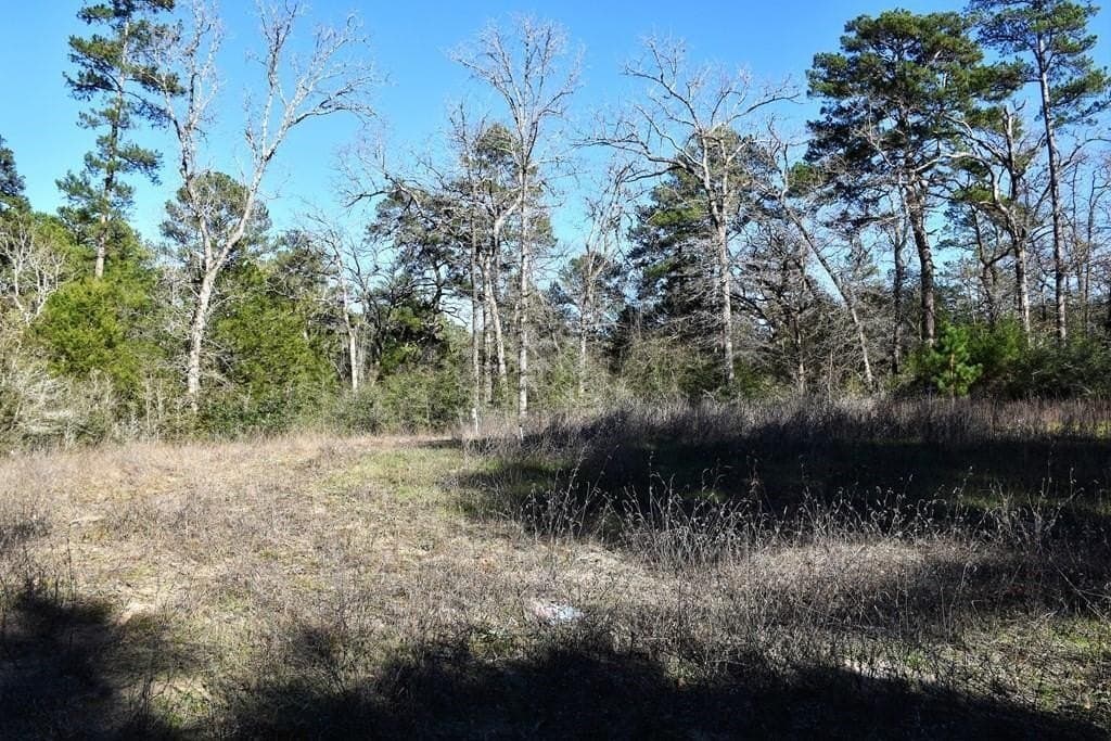 2.12 acres in Houston County gallery image 3