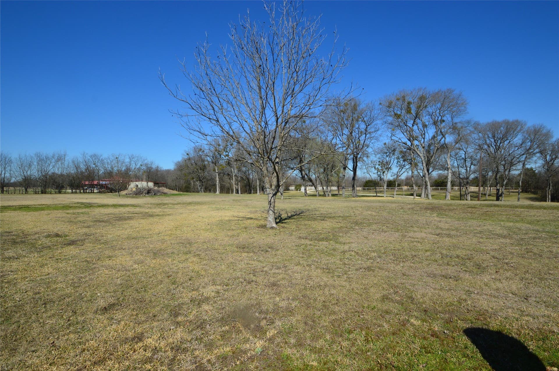 10.23 acres in Rains County - photo 9