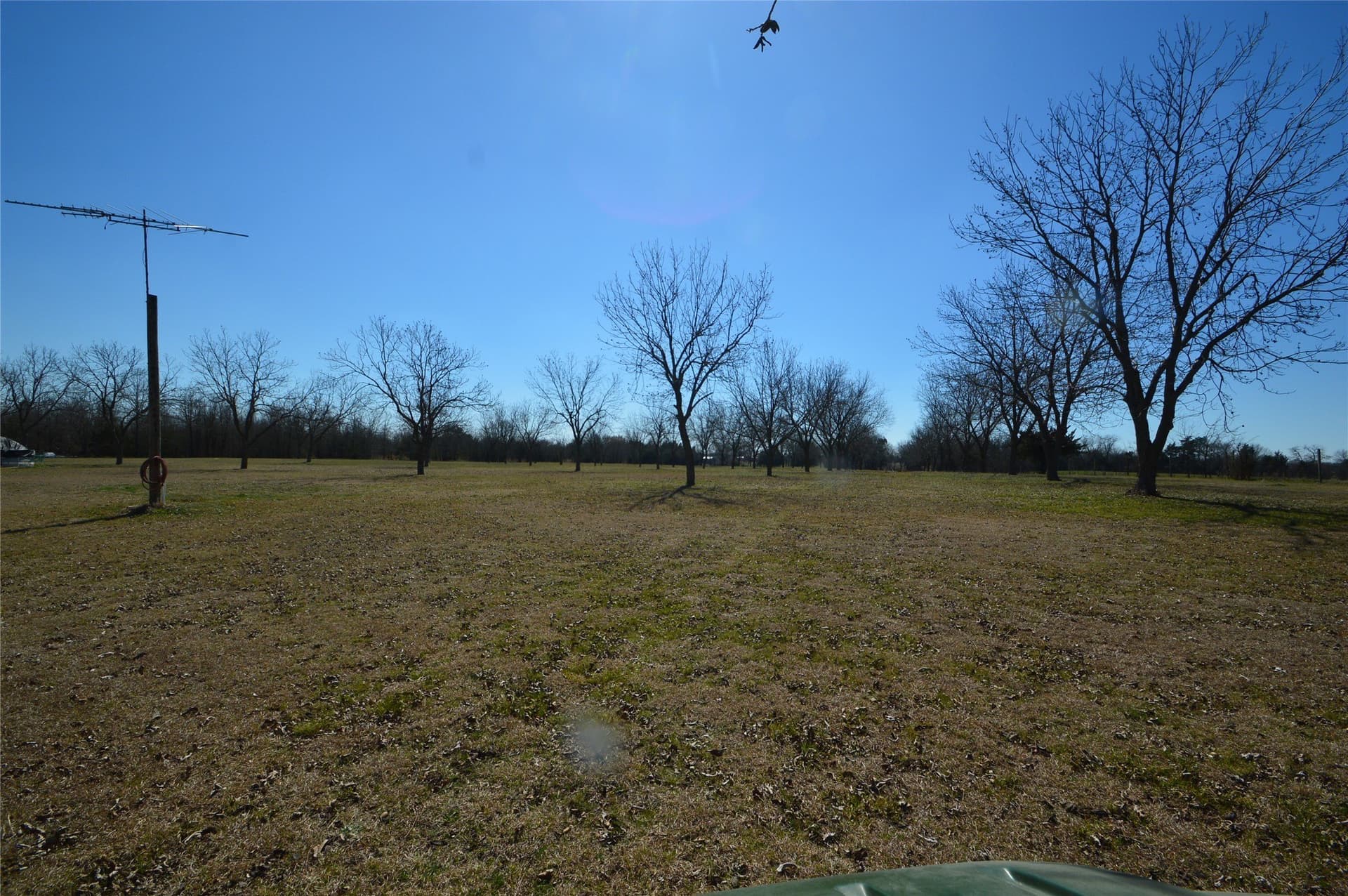 10.23 acres in Rains County - photo 22