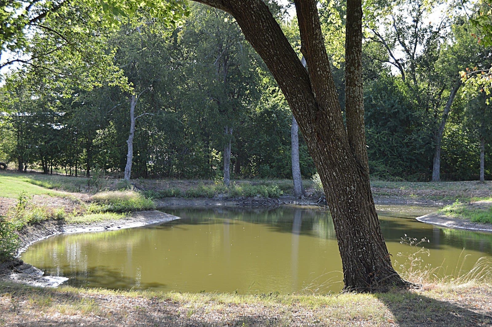10.23 acres in Rains County - photo 8