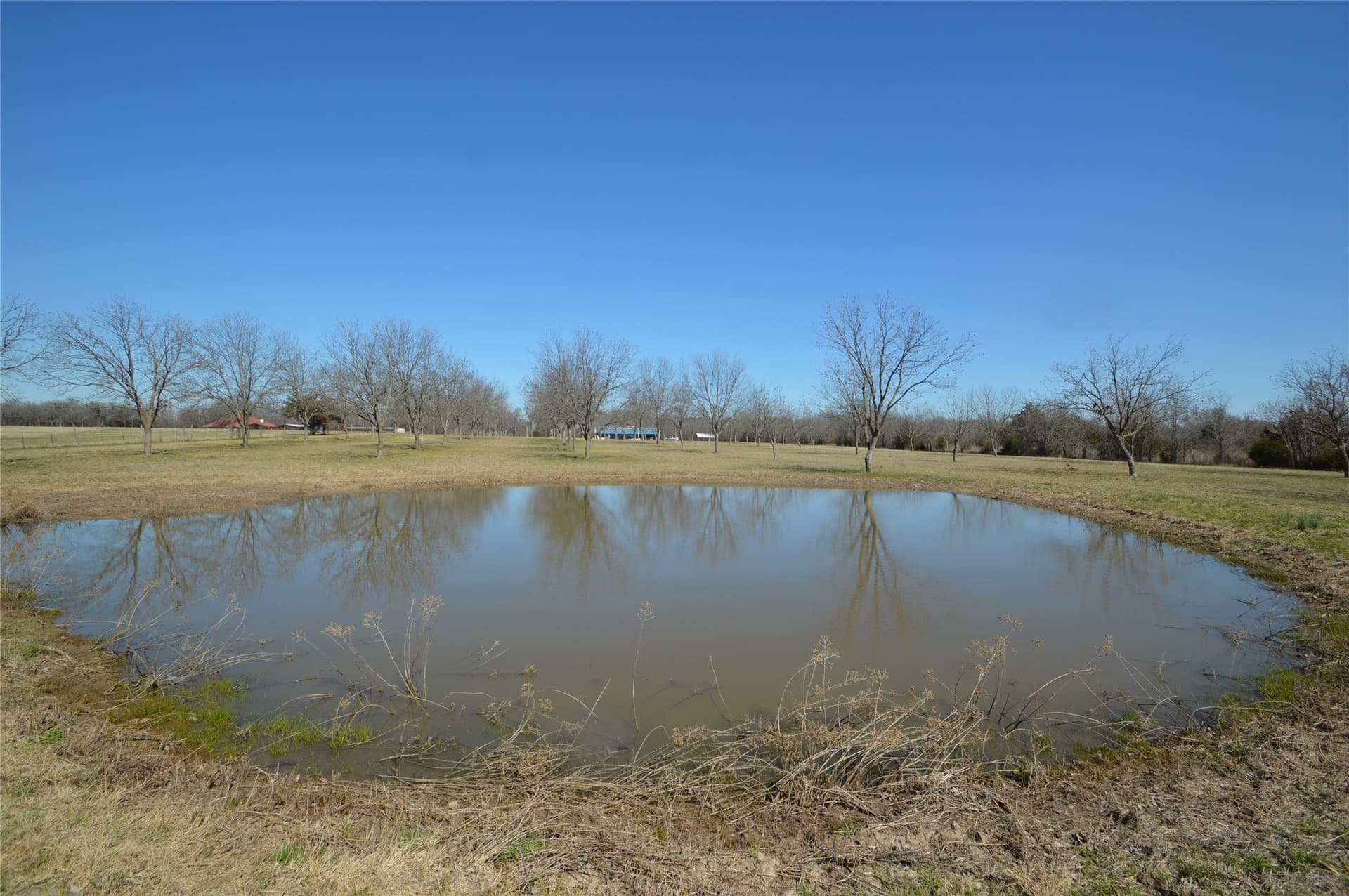 10.23 acres in Rains County - photo 28