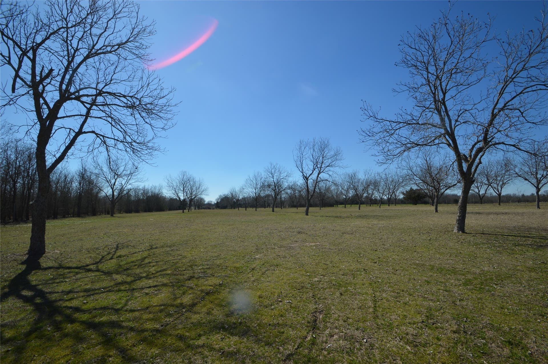 10.23 acres in Rains County - photo 27