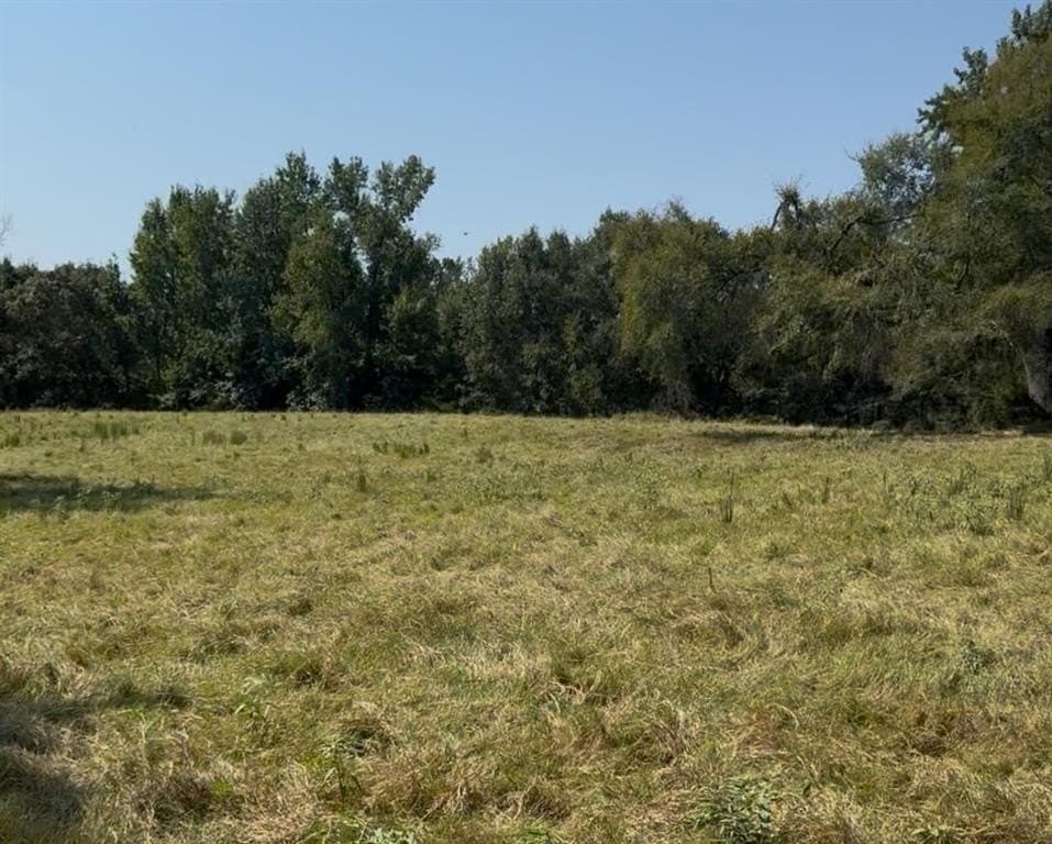 3.99 acres in Van Zandt County gallery image 3