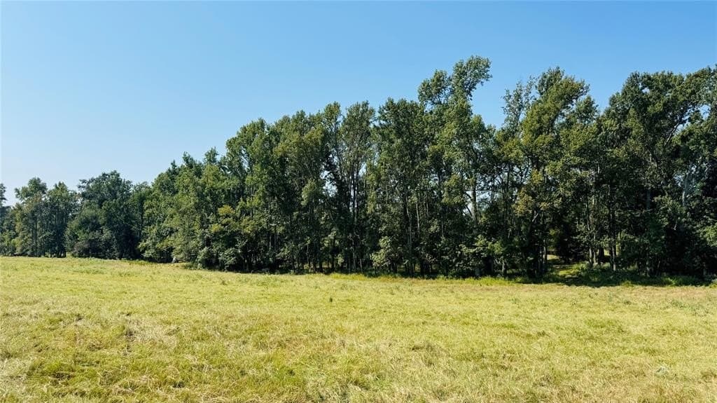 3.99 acres in Van Zandt County gallery image 2