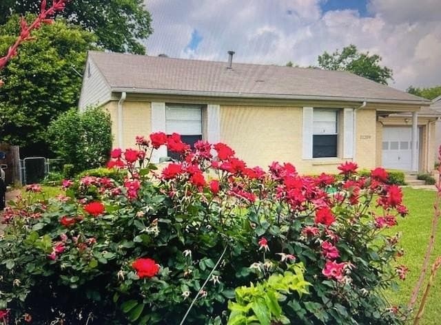 16.9 acres in Dallas County