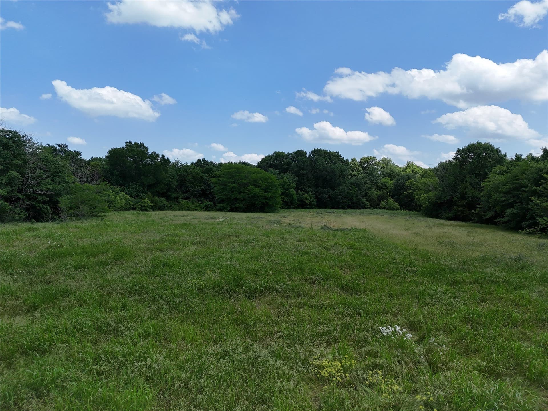11 acres in Fannin County - photo 6