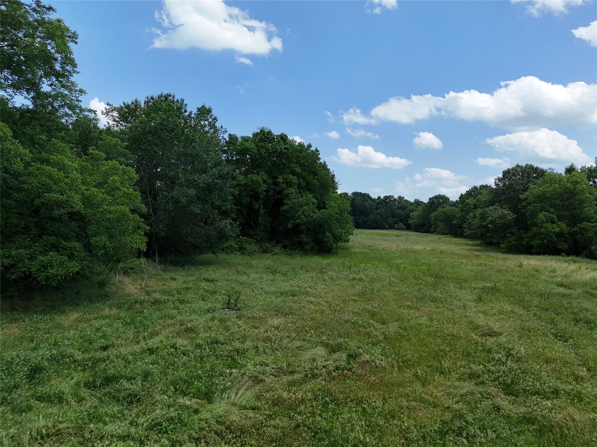 11 acres in Fannin County gallery image 3