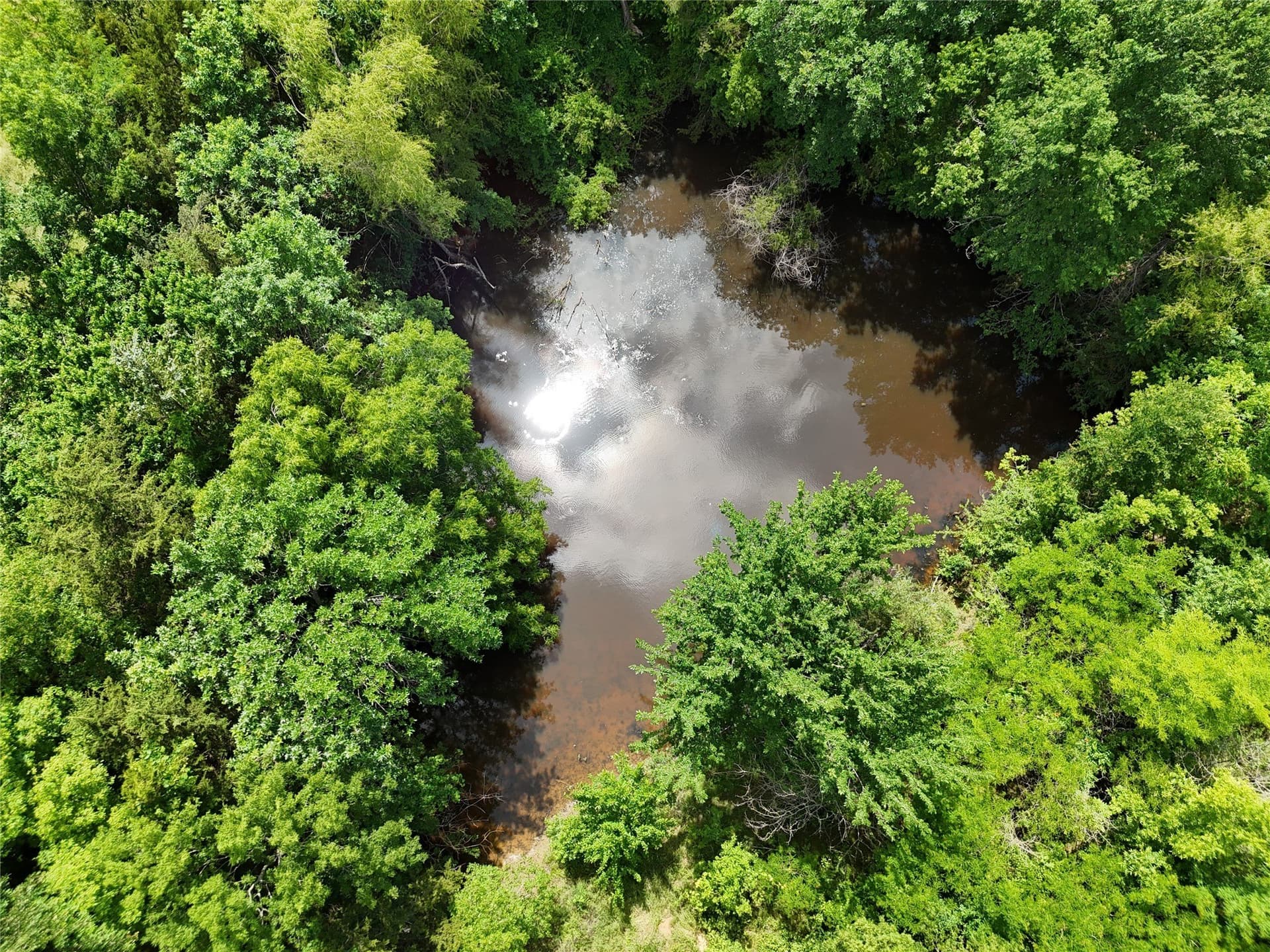 11 acres in Fannin County - photo 8