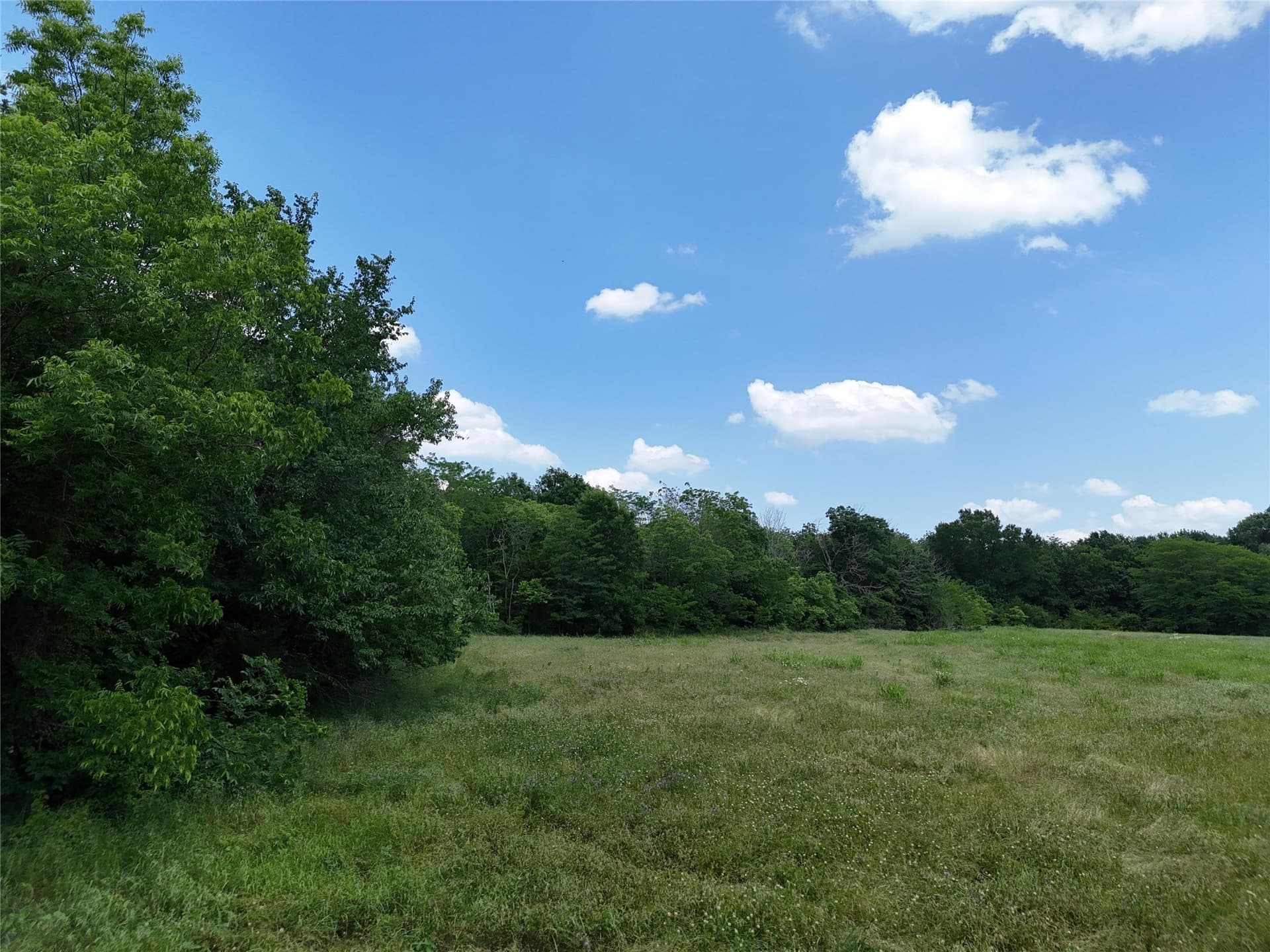 11 acres in Fannin County featured view