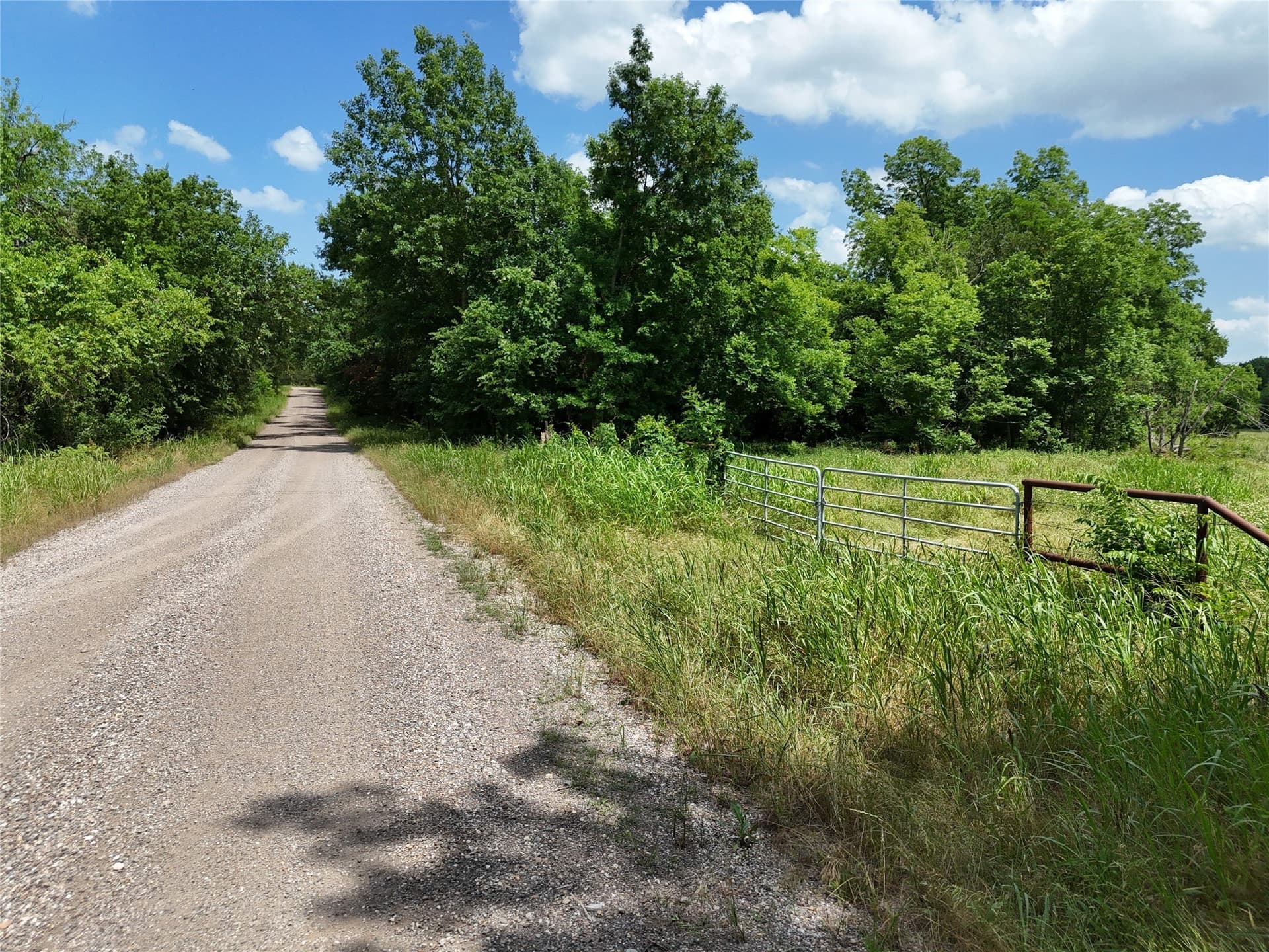 11 acres in Fannin County gallery image 2
