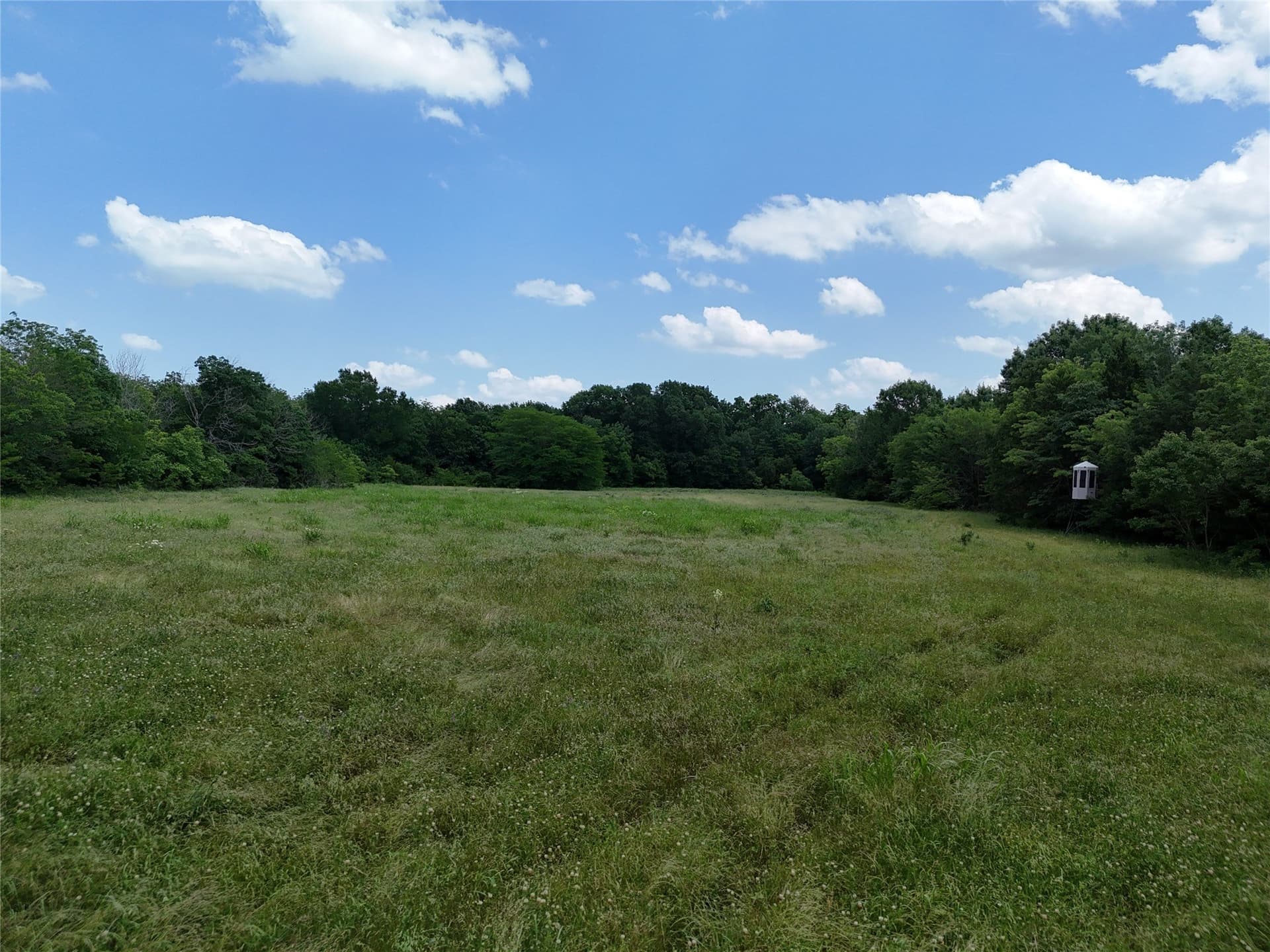 11 acres in Fannin County gallery image 4