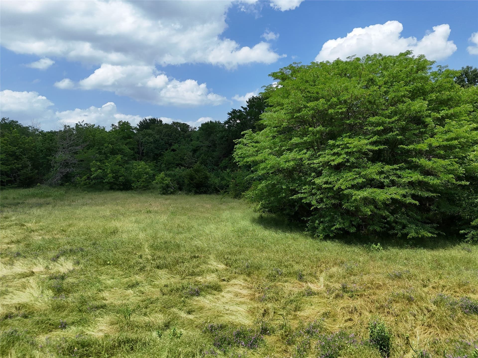 11 acres in Fannin County - photo 7